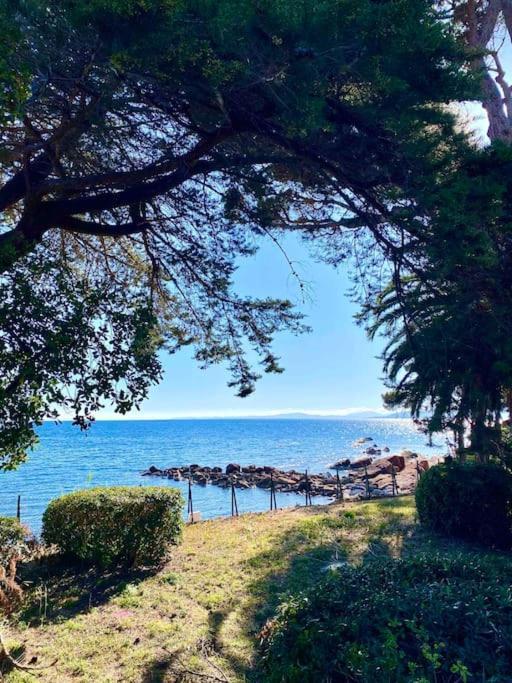 Studio Bord De Mer Boulouris A Saint Raphael 外观 照片